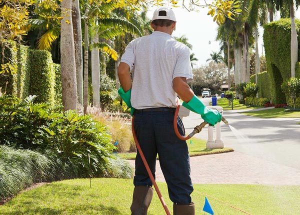 About Groveton NH Pest Control